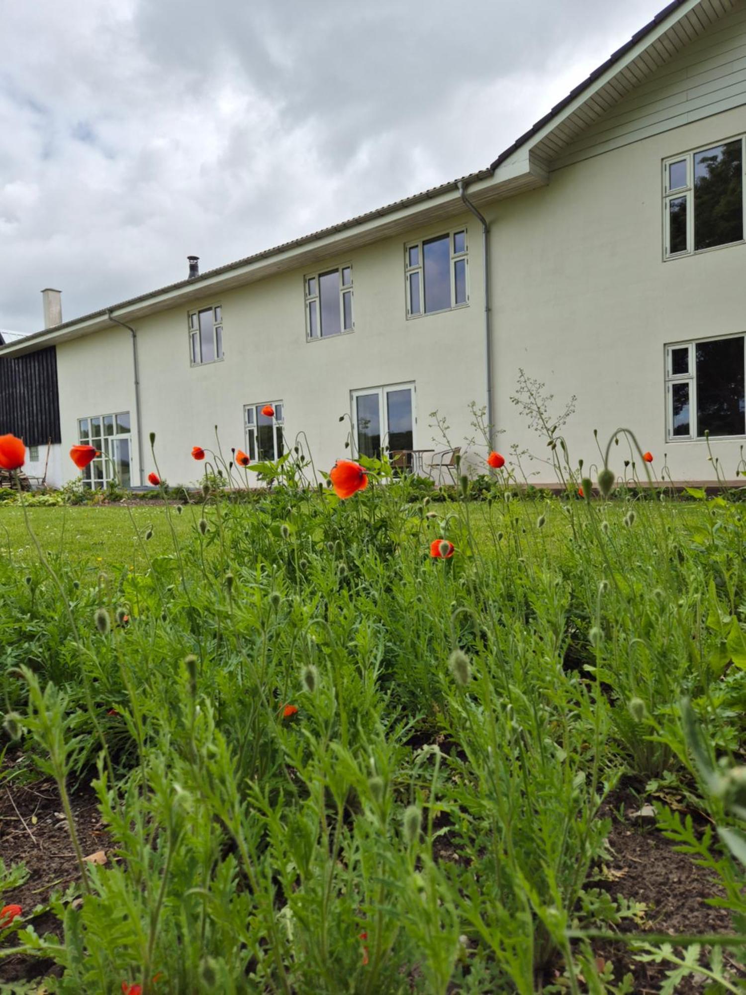 Knebel Mols Bed & Breakfast מראה חיצוני תמונה
