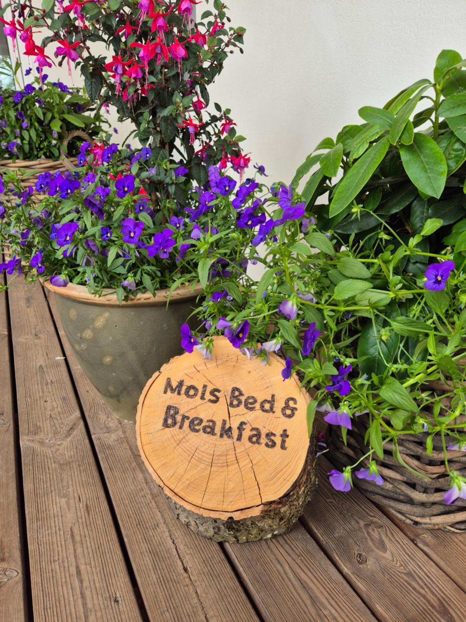 Knebel Mols Bed & Breakfast מראה חיצוני תמונה